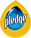 PLEDGE