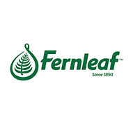NnO FERNLEAF