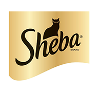SHEBA