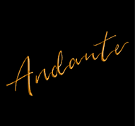 ANDANTE FB PLT